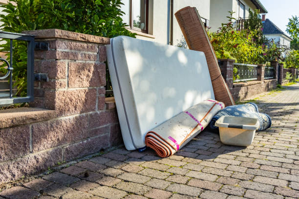 Best Professional Junk Removal  in Vernon, AL