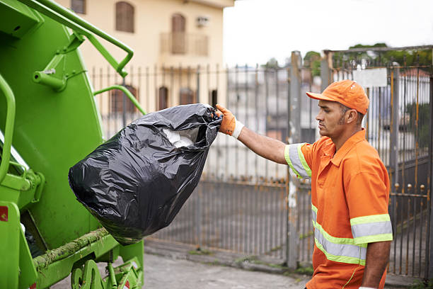 Best Basement Cleanout Services  in Vernon, AL